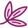 Piper Betle (Daun Sirih)